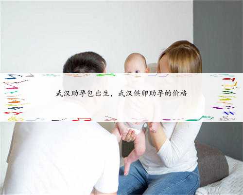上海借卵试管代生价格-如何处理代怀生子产生的